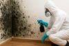 Safe, Professional Mold Remediation Services